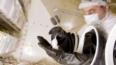 Доба експеримената на животињама јењава. Куда ће наука даље ићи?