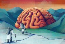 Кина води рат против Алцхајмерове болести. Шта његов приступ може научити остатак света?