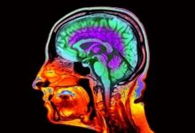 Матичне ћелије пружају моћан третман за слабост