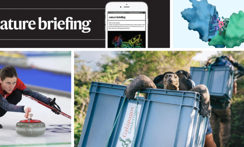 Дневни брифинг: Нови механизам АИ за откривање лекова је „на скали АлпхаФолд4“