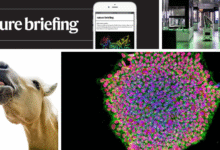 Дневни брифинг: Порекло ЦОВИД-а – шта радимо, а шта не знамо