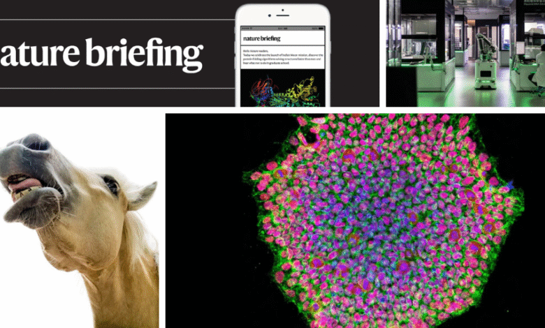 Дневни брифинг: Порекло ЦОВИД-а – шта радимо, а шта не знамо