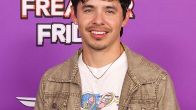 Давид Арцхулета Бескућник усред славе америчког идола