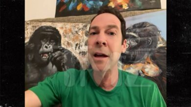 Вирусном мајмуну по имену Пунцх потребна је права мама да би га волела, каже стручњак