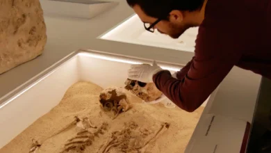 Древни ДНК решава 12.000 година стару мистерију ретког генетског поремећаја раста Древни ДНК решава 12.000 година стару мистерију ретког генетског поремећаја раста