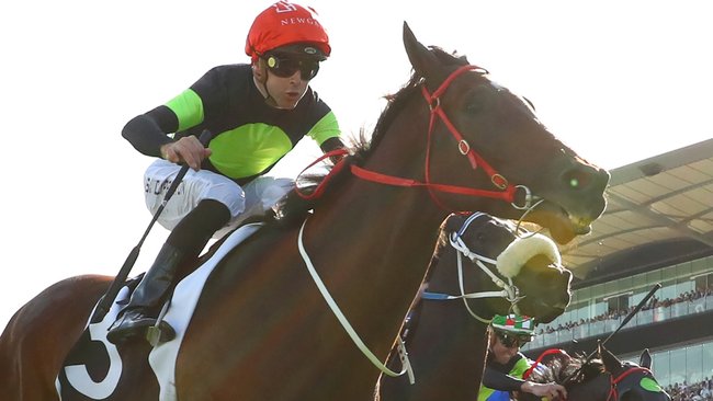 Освајач Евереста Тхинк Абоут Ит умире након компликација након операције грчева Освајач Евереста Тхинк Абоут Ит умире након компликација након операције грчева