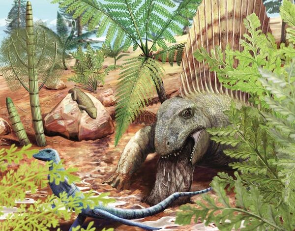 Ова фосилизована бљувотина је старија од диносауруса