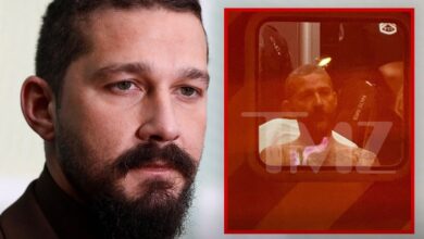 Схиа ЛаБеоуф је више пута бацио геј увреде током хапшења, каже полиција