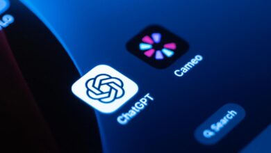 Савезни суд је пресудио да ОпенАИ мора престати да користи израз ‘Цамео’