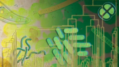 Древни микроби су можда користили кисеоник 500 милиона година пре него што је напунио Земљину атмосферу