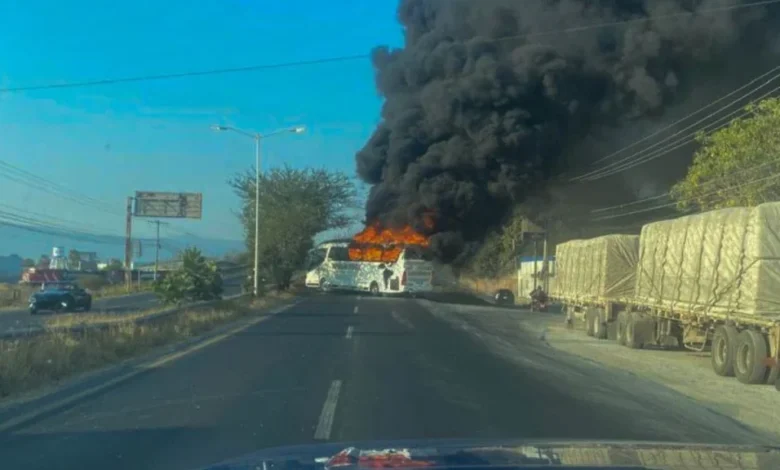 Амбасада Турске издала је упозорење својим грађанима у Мексику због насиља у шест држава