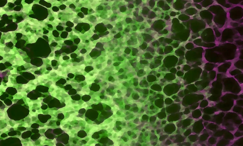 Скривени ћелијски процес може довести до старења и болести