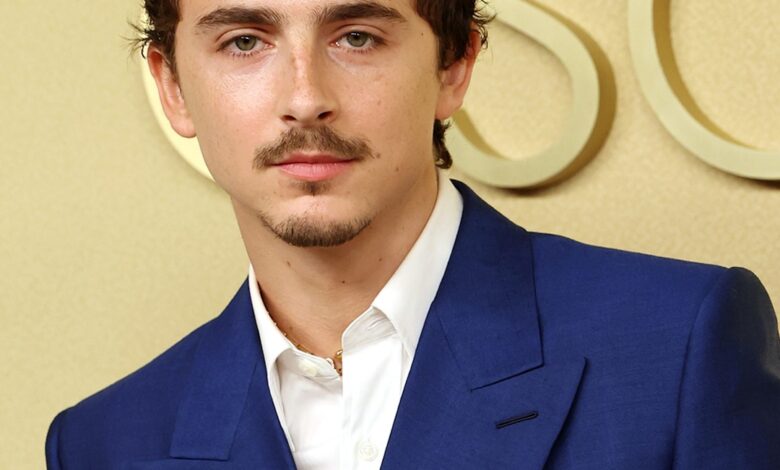 Тимотхее Цхаламет о Цостару који доводи у питање његове глумачке способности Тимотхее Цхаламет о Цостару који доводи у питање његове глумачке способности