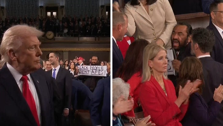 Реп. Ал Греен држи натпис „Црнци нису мајмуни“ на адреси о стању у Унији