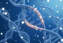 Прво, студија повезује мајчинске гене са ризиком од губитка трудноће