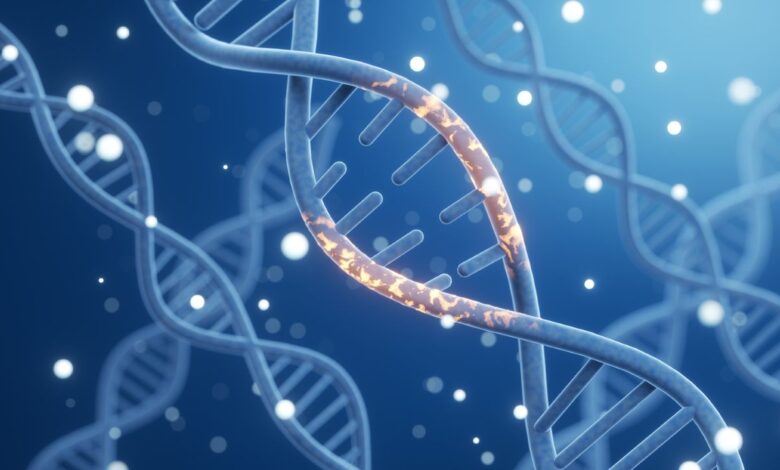 Прво, студија повезује мајчинске гене са ризиком од губитка трудноће Прво, студија повезује мајчинске гене са ризиком од губитка трудноће