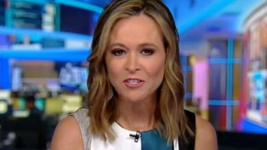 Дописница Фок Невс-а Анита Вогел враћа се на телевизију месецима након мужевљеве смрти