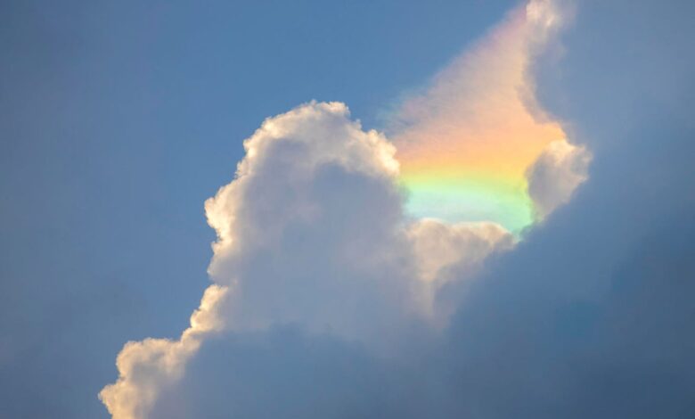 Најновије издање Линук кернела затвара еру 6.к – и то је поклон администраторима облака