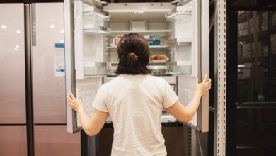 How Much Can a New Fridge Actually Save You? The Surprising Truth About Energy