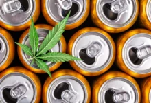 Људи који су прешли на пиће од канабиса скоро су преполовили своју употребу алкохола