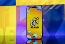 НИТ Страндс наговештаје, одговори за 22. фебруар 2026