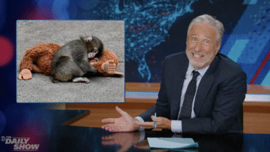 Џон Стјуарт брутално брбља о мајмуну Пунчу Џон Стјуарт брутално брбља о мајмуну Пунчу