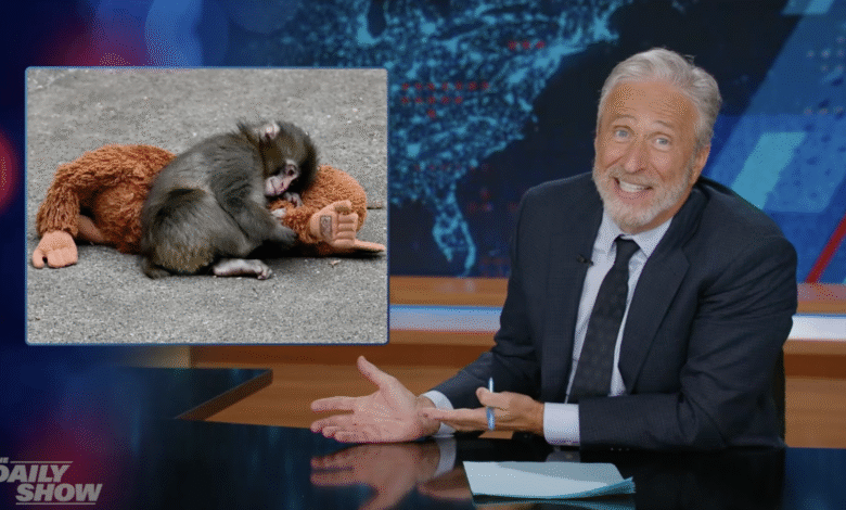 Џон Стјуарт брутално брбља о мајмуну Пунчу