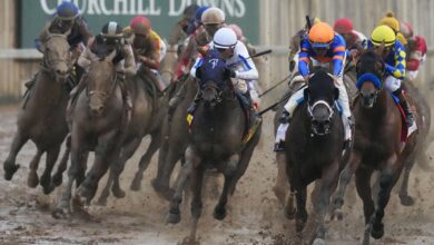 Предвиђања за Куп Саудијске Арабије 2026, квоте, коњи, кандидати из инсајдера