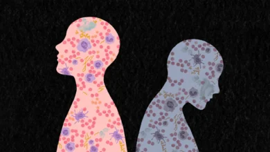 Научници откривају како животна искуства преписују имуни систем