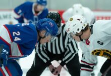 Гоогле каже да су претраге за дечаке акваријума и геј хокејаше порасле