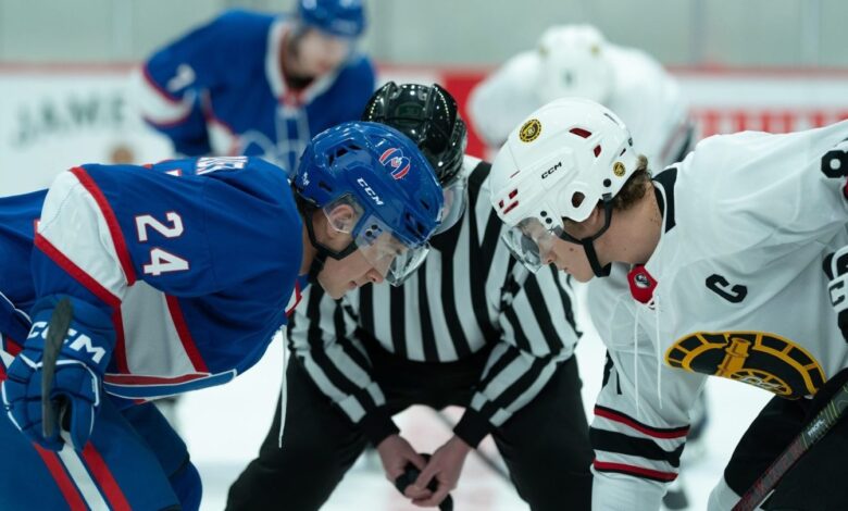 Гоогле каже да су претраге за дечаке акваријума и геј хокејаше порасле Гоогле каже да су претраге за дечаке акваријума и геј хокејаше порасле