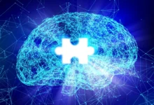 Ово откриће мозга приморава научнике да преиспитају како функционише памћење