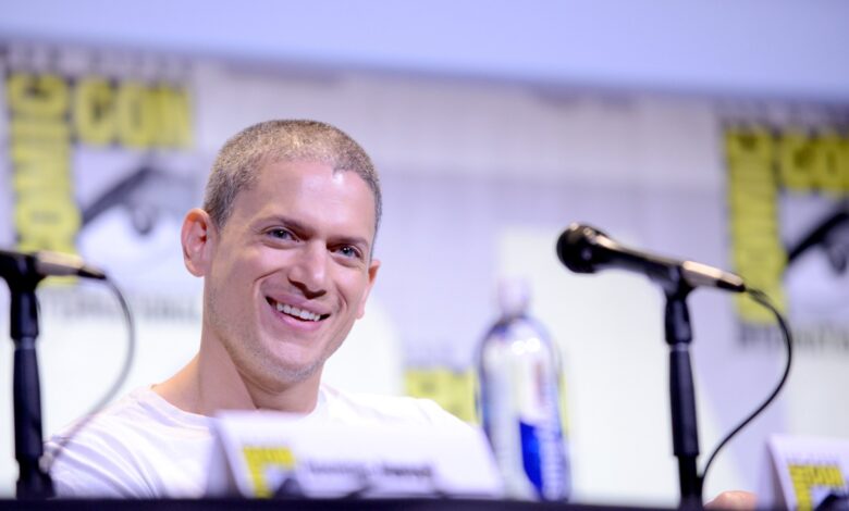 ‘Лове Исланд’: Алл Старс славне заљубљене ‘Лове Исланд’: Алл Старс славне заљубљене