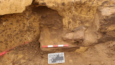 Подземни тунел, вероватно коришћен за средњовековне култне ритуале, откривен у гробници из каменог доба у Немачкој