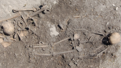 Пре 5.500 година, тинејџерка је сахрањена са костима свог оца на грудима, открива нова ДНК студија Пре 5.500 година, тинејџерка је сахрањена са костима свог оца на грудима, открива нова ДНК студија