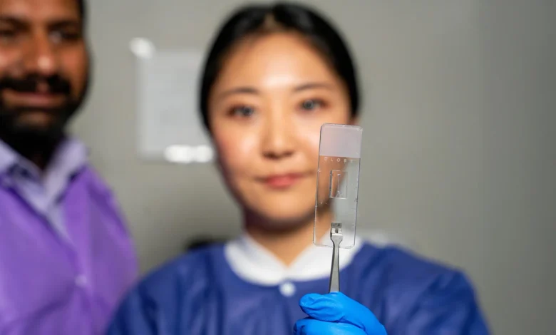 Научници су управо направили живе крвне судове на чипу који делују као прави