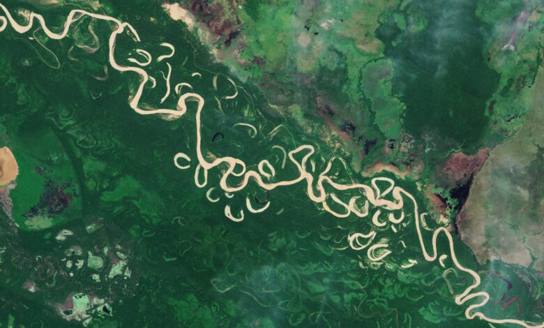 Трипи снимак ‘биомасе’ открива први детаљан поглед на залихе угљеника на нашој планети – Земљу из свемира