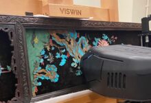 Рендгенски снимци откривају структуру перја водењака са невиђеним детаљима