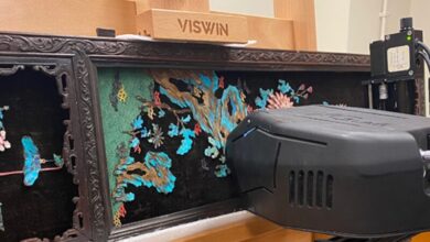 Рендгенски снимци откривају структуру перја водењака са невиђеним детаљима