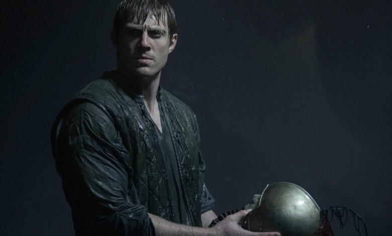 ‘Витез од седам краљевстава’ исекао је најбољи текст из књиге о несрећи