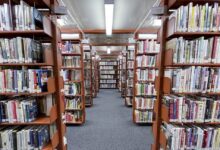 АИ може да генерише скоро дословне копије романа из података о обуци