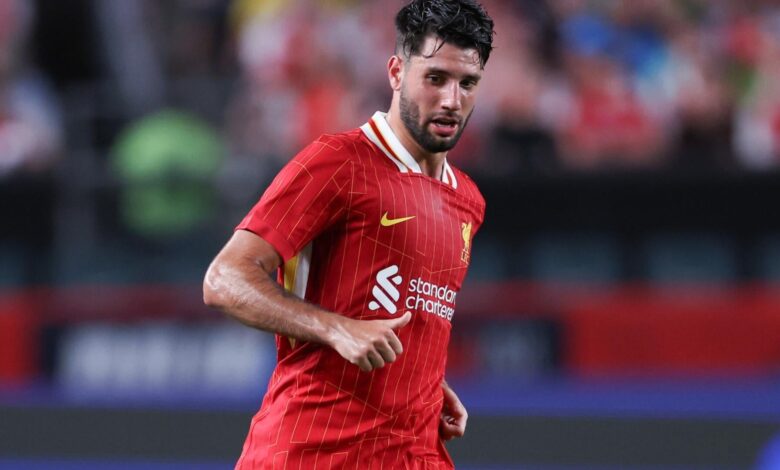 Избор Премијер лиге: квоте за клађење Сандерленд против Ливерпула, стручне опкладе