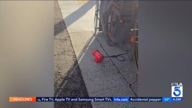 ‘Аларми за ИЦЕ раид’ ускоро стижу у Хигхланд Парк у ЛА-у