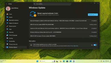 Мицрософт је управо закрпио 6 нула дана, али можда бисте желели да одложите ажурирање – ево зашто