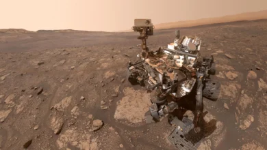 Научници НАСА-е кажу да метеорити не могу да објасне мистериозна органска једињења на Марсу