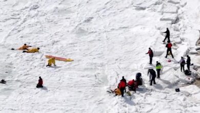 Жена из Кејп Кода умрла је након што је са несталим мужем уронила у пса који шета залеђену реку