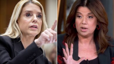 Ководитељица серије Тхе Виев Ана Наваро критикује ‘одвратно’ сведочење Пам Бонди