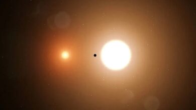 Егзопланете Татуина су необично ретке, и коначно знамо зашто