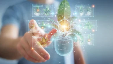 Ово неочекивано откриће биљке могло би да промени начин на који се лекови праве