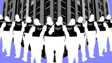 ИЦЕ експанзија се неће догодити у мраку